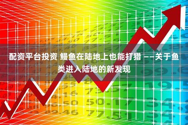 配资平台投资 鳗鱼在陆地上也能打猎 ——关于鱼类进入陆地的新发现