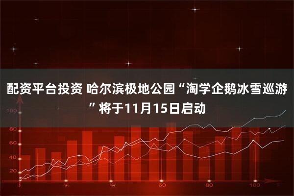 配资平台投资 哈尔滨极地公园“淘学企鹅冰雪巡游”将于11月15日启动