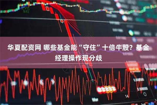 华夏配资网 哪些基金能“守住”十倍牛股？基金经理操作现分歧